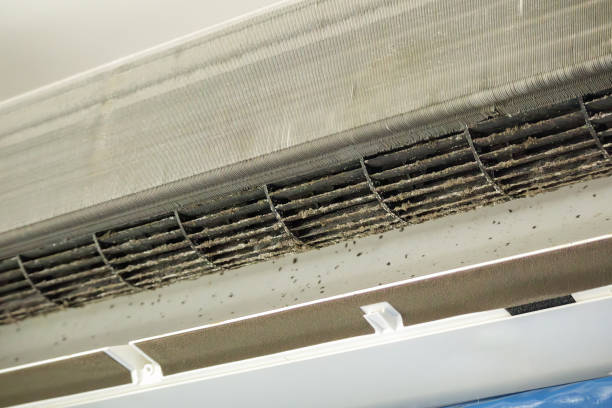 Best Air Duct Cleaning Near Me  in Glenvar Heights, FL